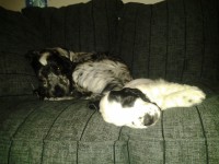 /album/patu/patun-seisonta-028-jpg/